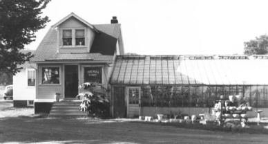 Thieman's Greenhouse - Photo Courtesy of Billy Franke