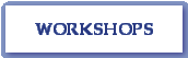 Workshops