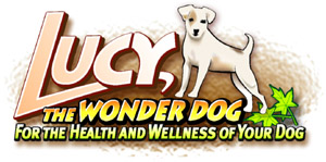 Lucy the Wonder Dog