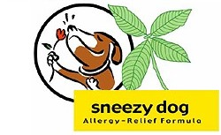Sneezy Dog Biscuits