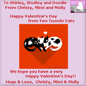 From Two Tuxedo Cats