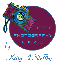 Basic Photography Course by Kitty A Stellby - An Accredited Home Schooling Course