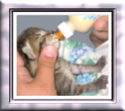 Please help us to save precious little lives like this sweet baby!