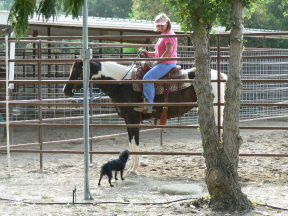 Lilly at Home with The Bryants