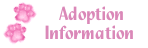 Adoption Information