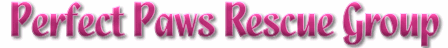 Perfect Paws Rescue Group in Santa Clarita, Southern California - Rescuing cats, kittens and small breed dogs