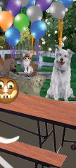 Pet Paws Search and Rescue 1st Annual Howl-O-Ween Carnival!!