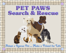 Pet Paws Search and Rescue - Adopt a Rescue Pet ... Make a Friend for Life!  From Our Homes to Yours!!