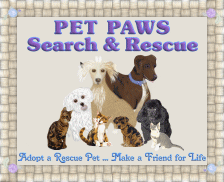 Perfect Paws Pet Rescue - Adopt a Rescue Pet ... Make a Friend for Life!  From Our Homes to Yours!!