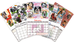 For the Love of Rescues 2006 Calendar