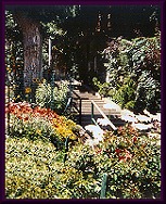 Stairway Nestled in a Garden