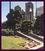 One of San Francisco's great cathedrals as viewed from an equally impressive park on Walking Tour #2