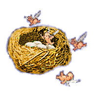 Baby Fairies in Their Nest
